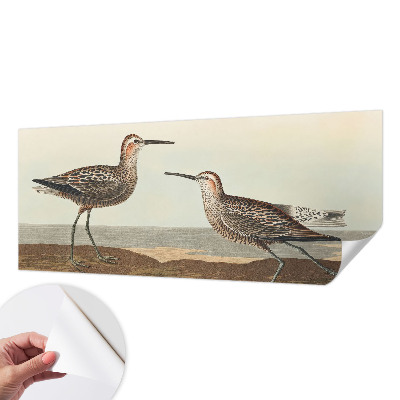 Carta da parati panoramica effetto 3D Sagome di uccelli