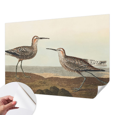 Carta da parati panoramica effetto 3D Sagome di uccelli