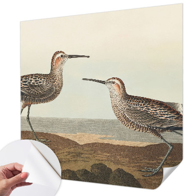 Carta da parati panoramica effetto 3D Sagome di uccelli