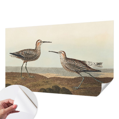 Carta da parati panoramica effetto 3D Sagome di uccelli