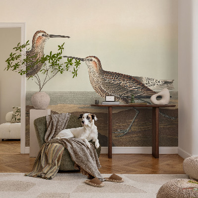 Carta da parati panoramica effetto 3D Sagome di uccelli