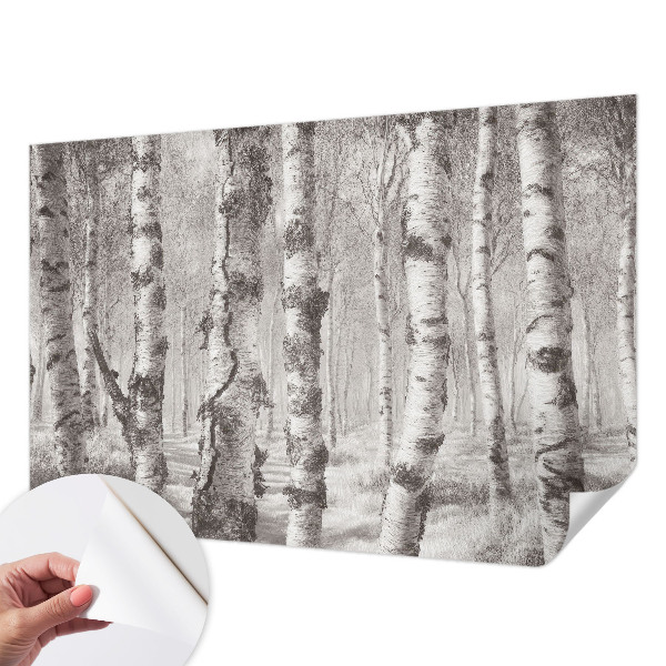Fotomurale effetto 3D Foresta di betulle