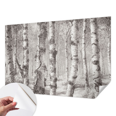 Fotomurale effetto 3D Foresta di betulle