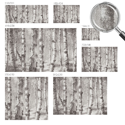 Fotomurale effetto 3D Foresta di betulle