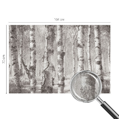 Fotomurale effetto 3D Foresta di betulle