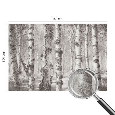 Fotomurale effetto 3D Foresta di betulle