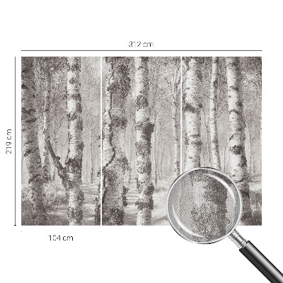 Fotomurale effetto 3D Foresta di betulle