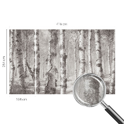 Fotomurale effetto 3D Foresta di betulle