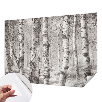 Fotomurale effetto 3D Foresta di betulle