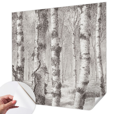 Fotomurale effetto 3D Foresta di betulle
