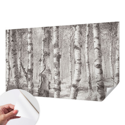 Fotomurale effetto 3D Foresta di betulle