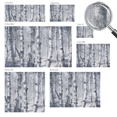 Carta da parati panoramica effetto 3D Natura gelida