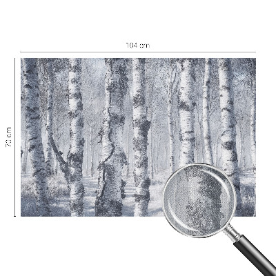 Carta da parati panoramica effetto 3D Natura gelida