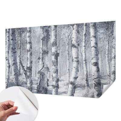 Carta da parati panoramica effetto 3D Natura gelida