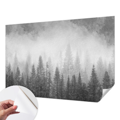 Carta da parati panoramica effetto 3D Nebbia forestale