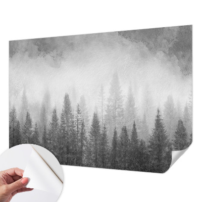 Carta da parati panoramica effetto 3D Nebbia forestale