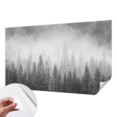 Carta da parati panoramica effetto 3D Nebbia forestale