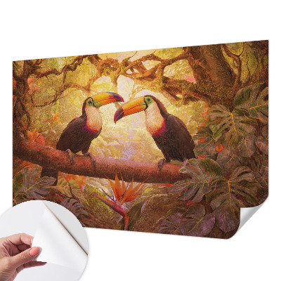 Fotomurale per cameretta Tucani colorati