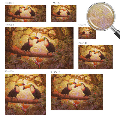 Fotomurale per cameretta Tucani colorati