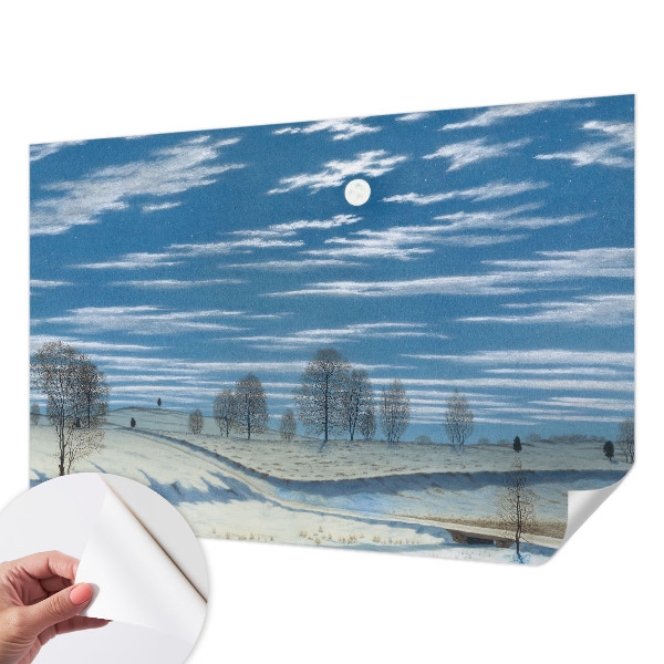 Fotomurale 3D Paesaggio invernale