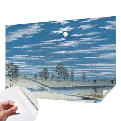 Fotomurale 3D Paesaggio invernale