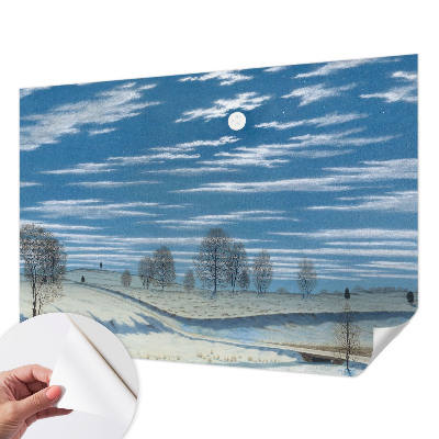 Fotomurale 3D Paesaggio invernale