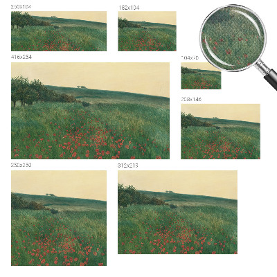 Fotomurale effetto 3D campi di papaveri