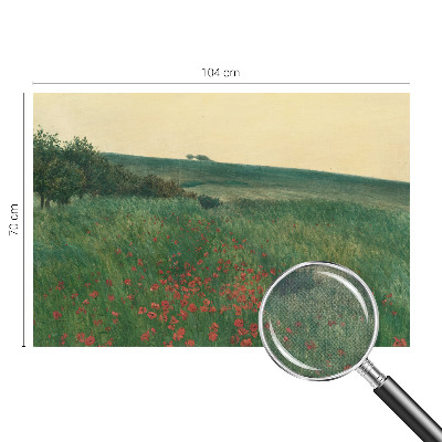 Fotomurale effetto 3D campi di papaveri