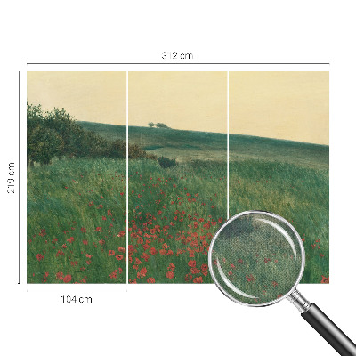 Fotomurale effetto 3D campi di papaveri