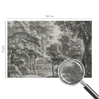 Carta da parati adesiva Paesaggio forestale