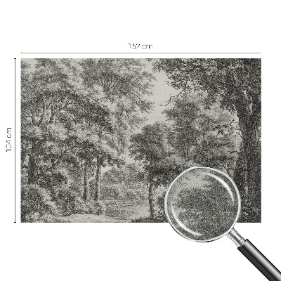 Carta da parati adesiva Paesaggio forestale