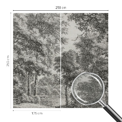 Carta da parati adesiva Paesaggio forestale