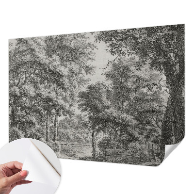 Carta da parati adesiva Paesaggio forestale