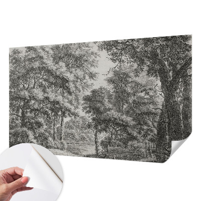 Carta da parati adesiva Paesaggio forestale