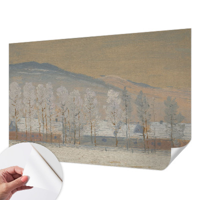 Carta da parati 3D Paesaggio invernale