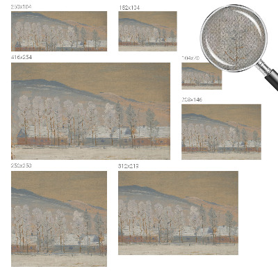 Carta da parati 3D Paesaggio invernale