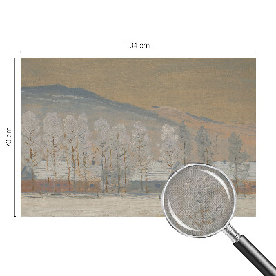 Carta da parati 3D Paesaggio invernale