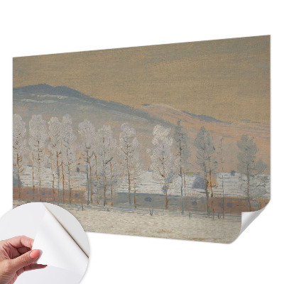 Carta da parati 3D Paesaggio invernale