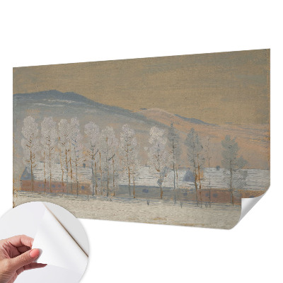Carta da parati 3D Paesaggio invernale