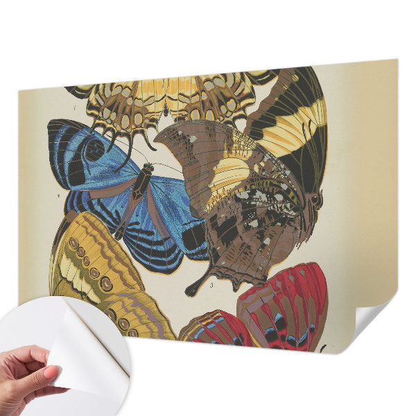 Fotomurale 3D Ispirazione per le farfalle