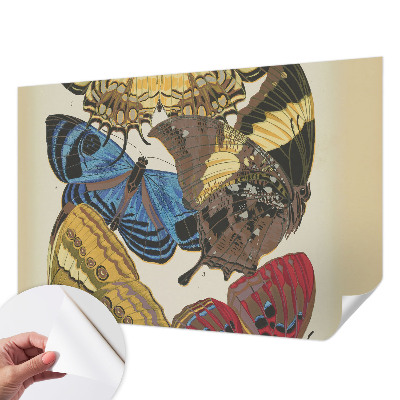 Fotomurale 3D Ispirazione per le farfalle