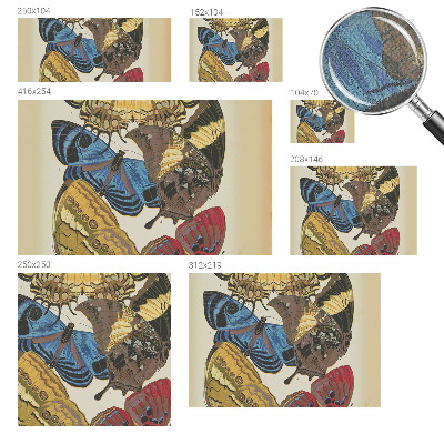 Fotomurale 3D Ispirazione per le farfalle