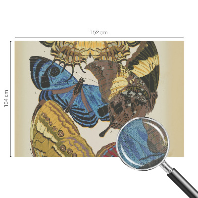 Fotomurale 3D Ispirazione per le farfalle