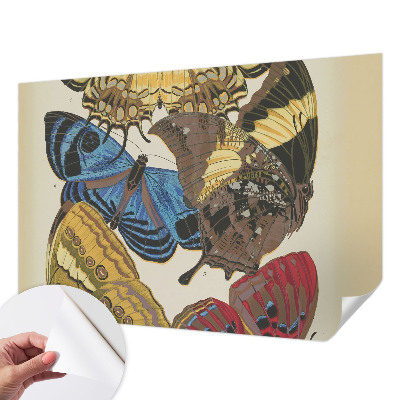 Fotomurale 3D Ispirazione per le farfalle