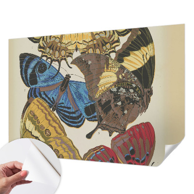 Fotomurale 3D Ispirazione per le farfalle