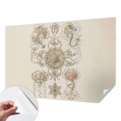 Carta da parati effetto profondità Mondo sottomarino