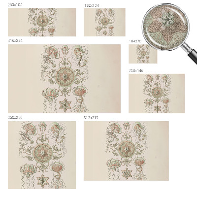 Carta da parati effetto profondità Mondo sottomarino