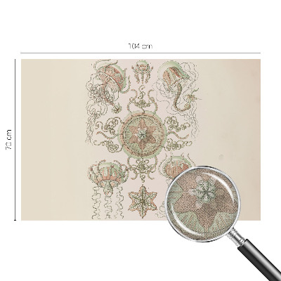 Carta da parati effetto profondità Mondo sottomarino