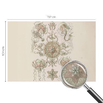 Carta da parati effetto profondità Mondo sottomarino