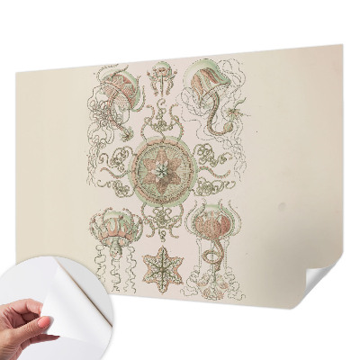 Carta da parati effetto profondità Mondo sottomarino